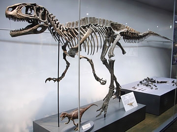 日本 に いた 恐竜