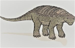 ノドサウルス科