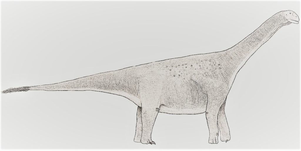 トゥリアサウルス 恐竜マンblog