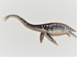 フタバサウルス フタバスズキリュウ 恐竜マンblog