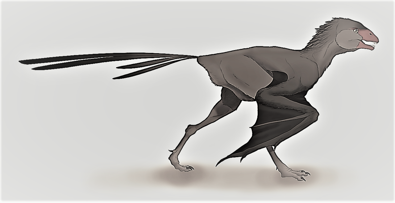 アンボプテリクス Ambopteryx 恐竜マンblog